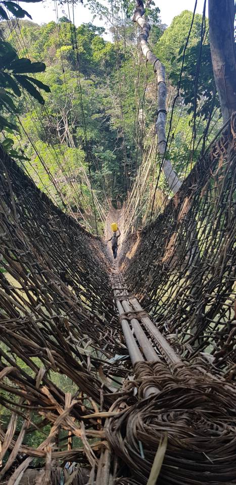 Vine Bridge, Guinea