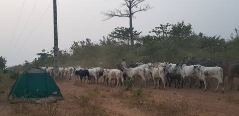 Bush Camp, Ivory Coast