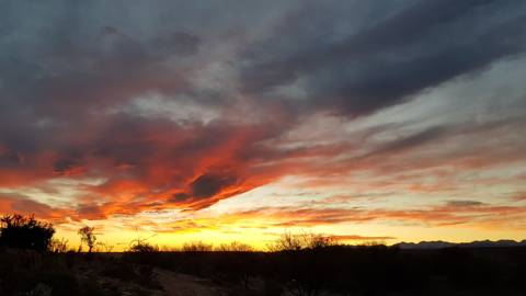 Oudtshoorn, South Africa