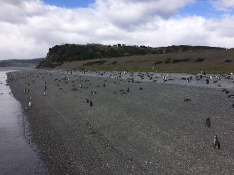 Ushuaia, Argentina