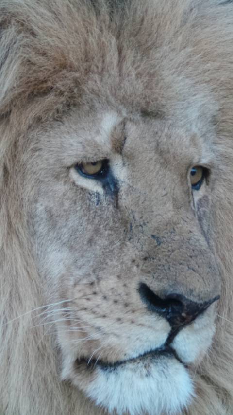 Scotia Game Reserve, South Africa