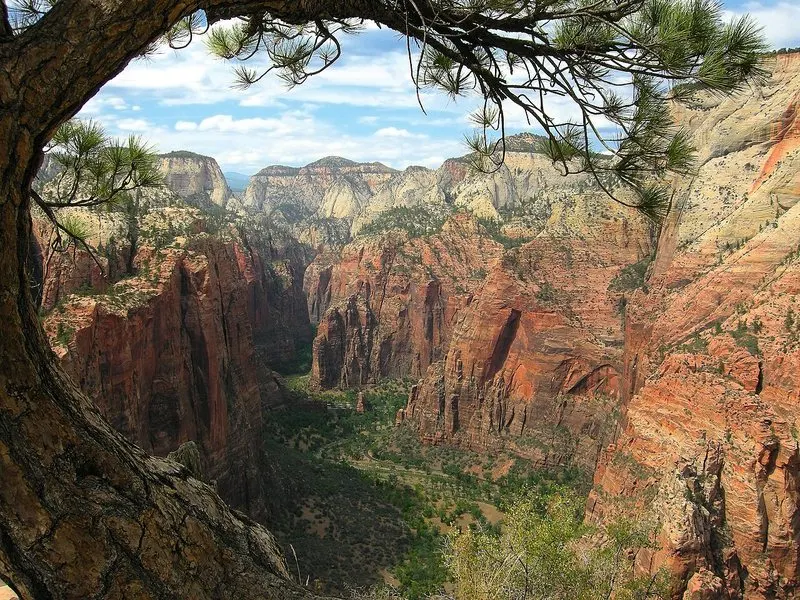 Hike Angels Landing