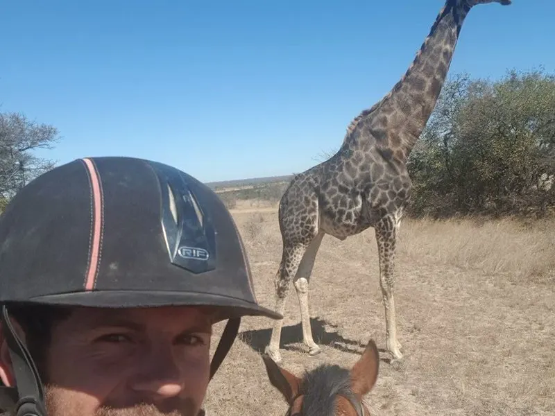 Go On A Horseback Safari