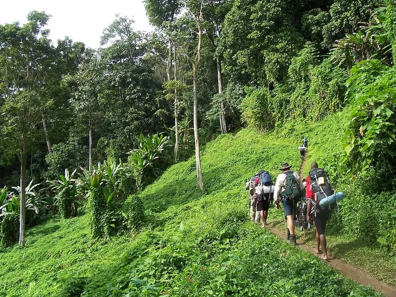 Hike The Kokoda Track