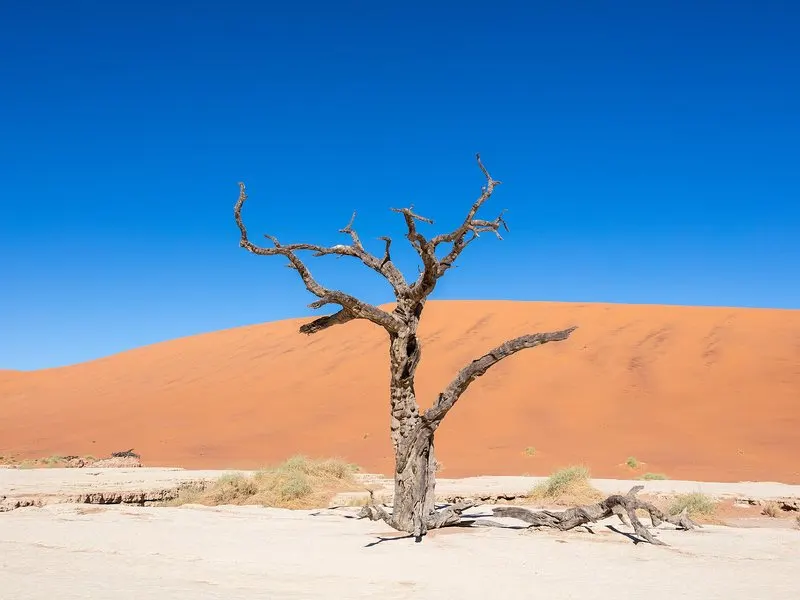 Climb The Dunes At Sossusvlei