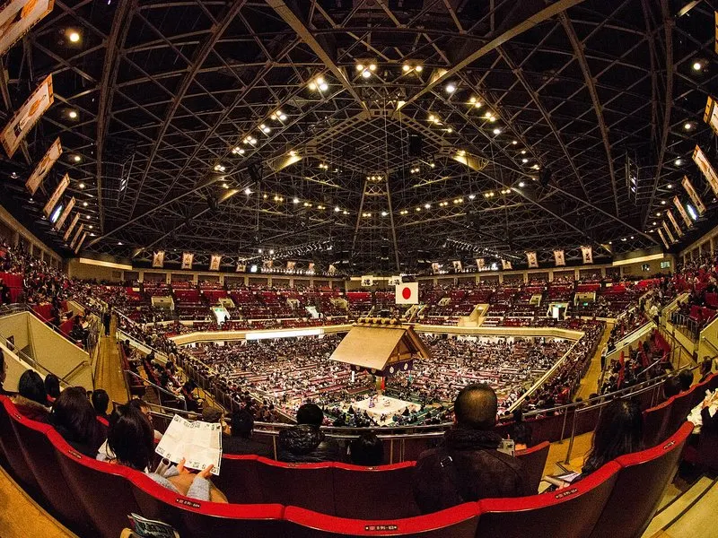 Watch A Sumo Tournament