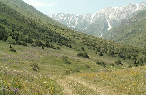 Aksu-Zhabagly Nature Reserve