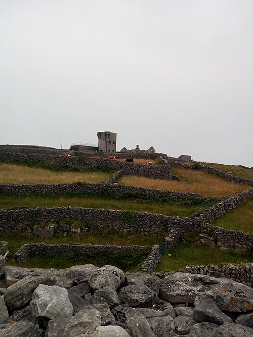 Day trip to the Aran Islands