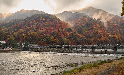 Arashiyama Bamboo Grove