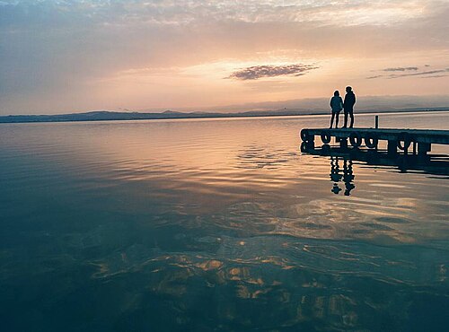 Paella in the Albufera