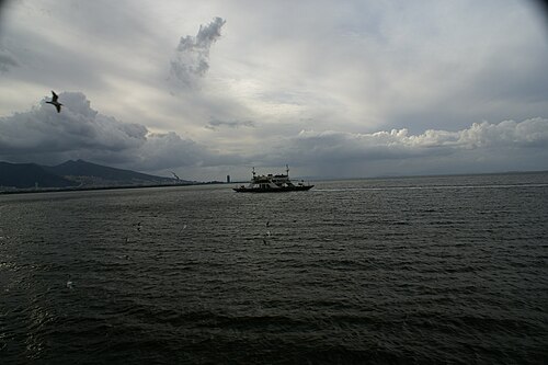 Ride the ferries
