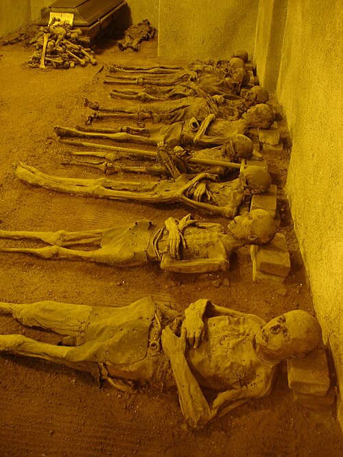 Capuchin Crypt