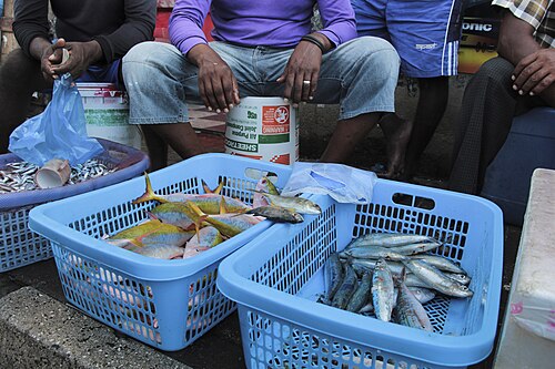Malé fish market