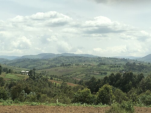 Drive into the hills