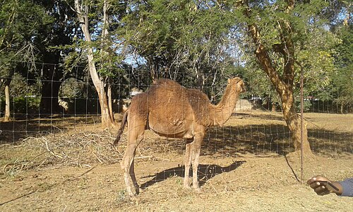 Munda Wanga Environmental Park