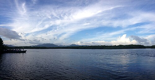 Caroni Swamp boat trip