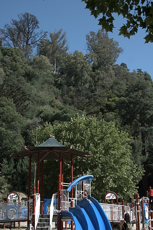 Cerro Caracol