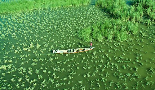 Visit the Mesopotamian Marshes
