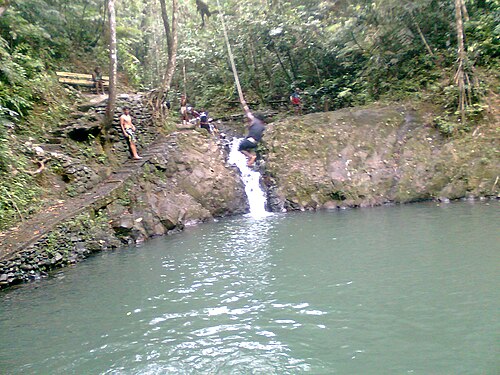 Colo-i-Suva Forest Park
