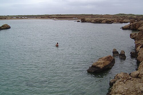 Snorkelling and diving