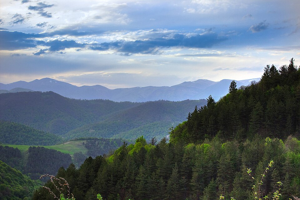 Hike in Dilijan National Park