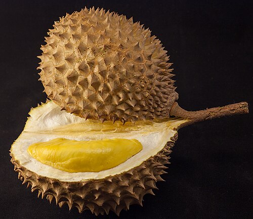 Eat durian