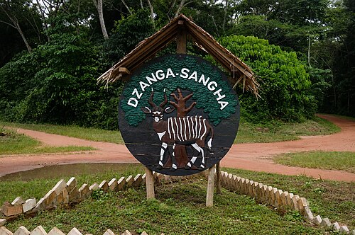 Journey towards Dzanga-Sangha
