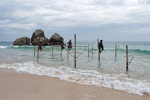 Stilt fishing at Koggala