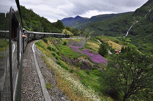 Day trip on the Flåm Railway