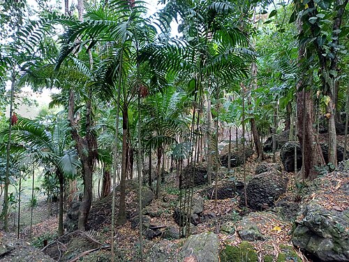 Garden of the Sleeping Giant