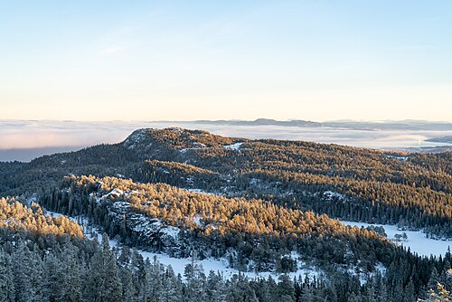Hike in Bymarka