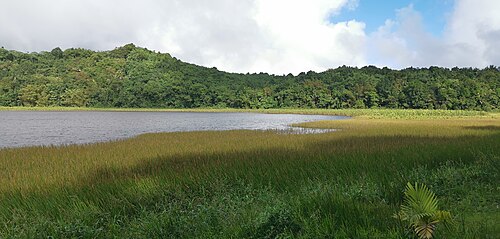 Grand Etang Lake