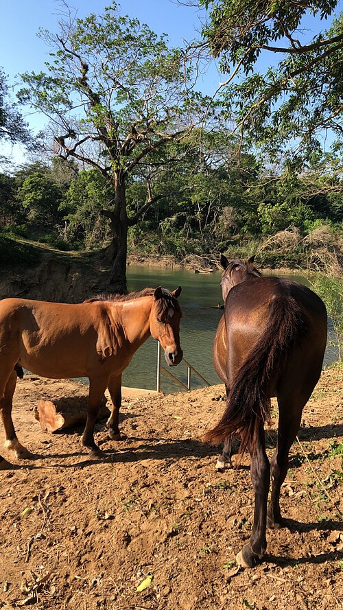 Guanacaste National Park