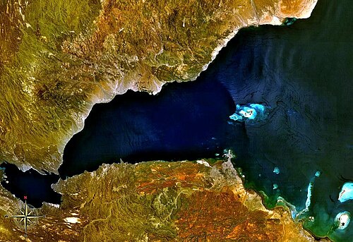 Snorkel and dive in the gulf