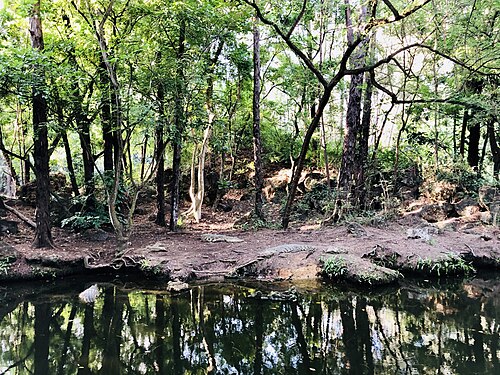 Haller Park