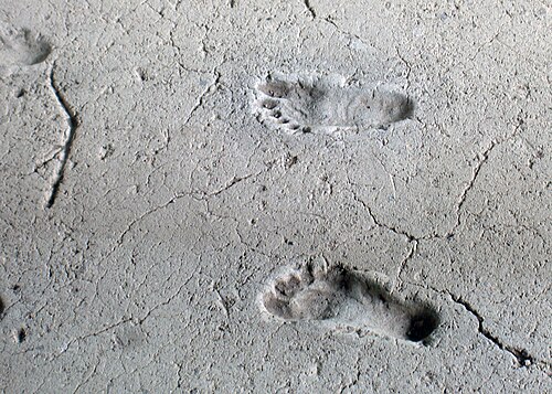 Footprints of Acahualinca