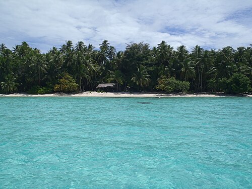 Diving and snorkelling
