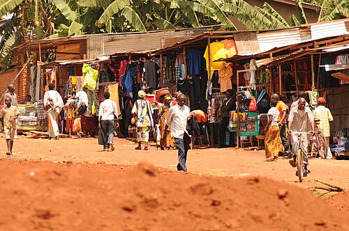 Explore the market