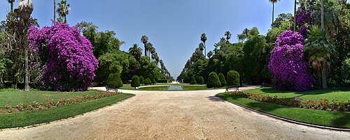 Jardin d'Essai du Hamma