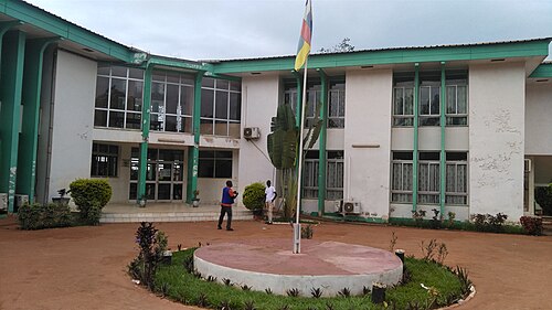 Bimbo market