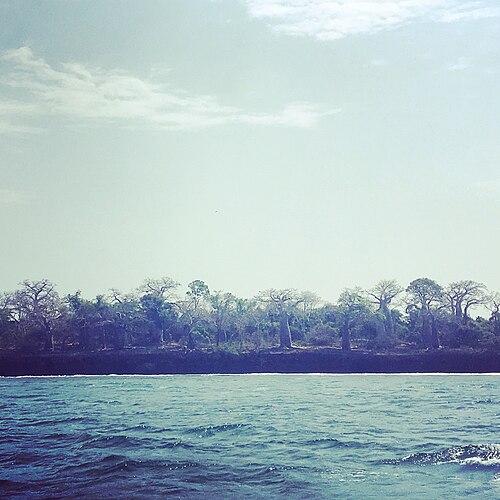 Snorkel at Kisite-Mpunguti
