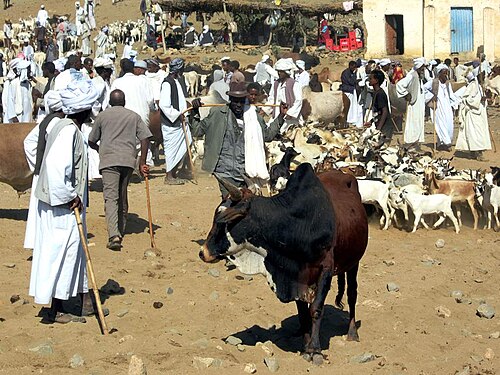 Monday livestock market