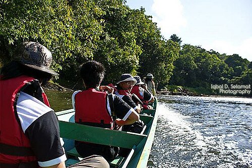 Ulu Temburong National Park