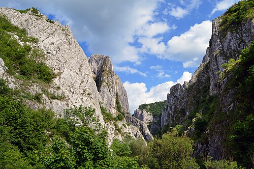 Hike Turda Gorge