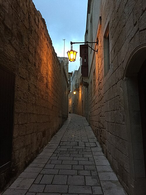 Walk Mdina at dusk