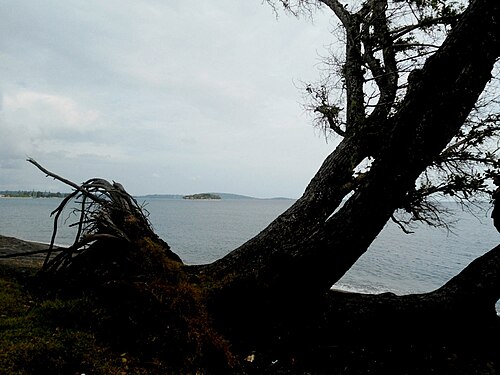 Hideaway Island