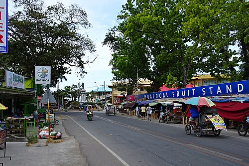 Day trip to Moalboal