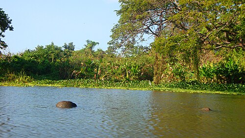 Boat trip around Las Isletas