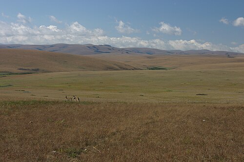 Nyika National Park
