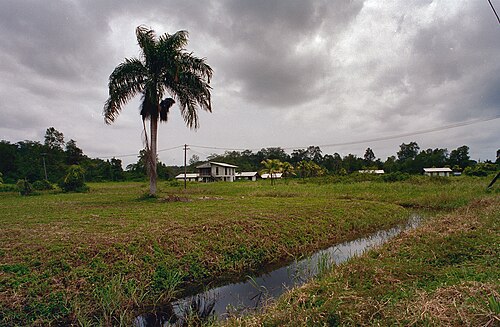 Plantation cycle tour